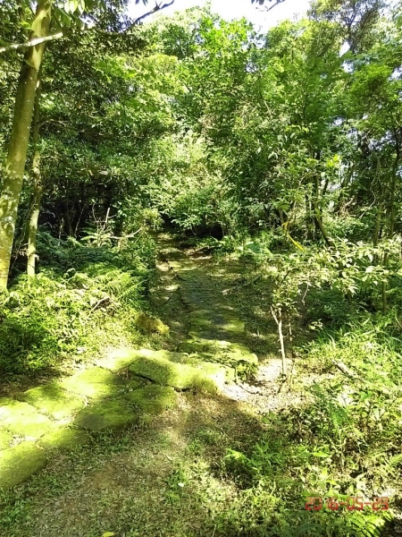 土城大暖尖山(媽祖山)105.05.2949040