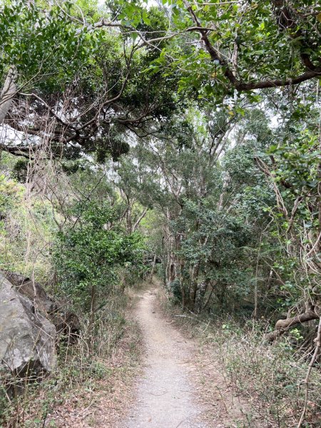 小百岳-里龍山2752574