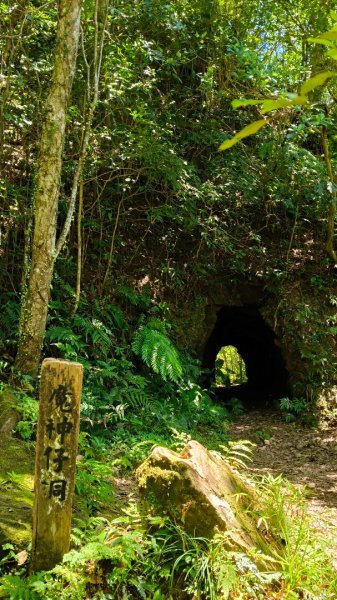 叮叮叮：一個人的微笑山線😊2917426