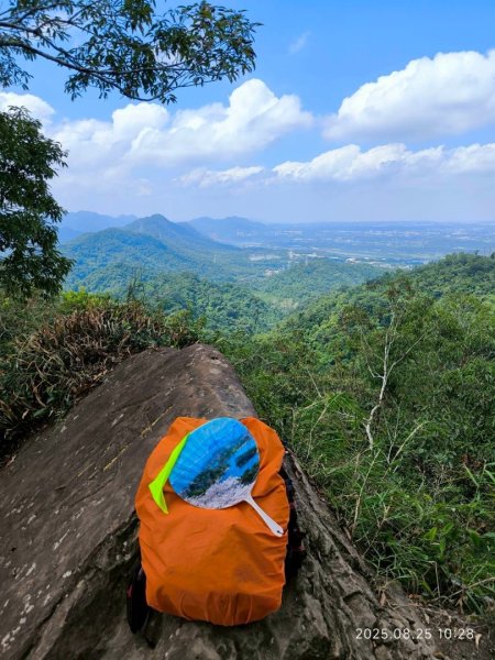 岩壁上的花、艷紅鹿子百合（22869783