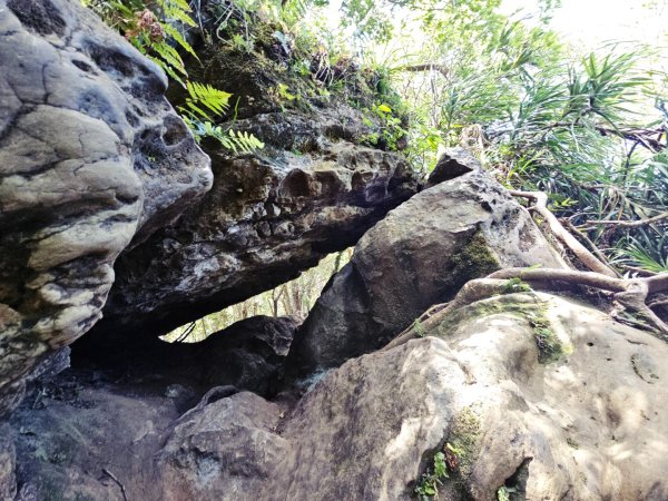 (二格山系)皇帝殿稜線-2025微笑山線大縱走尋寶集章任務2863497