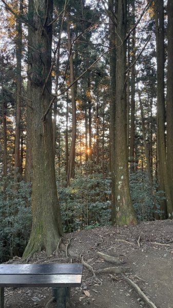 加里山東南峰2867922