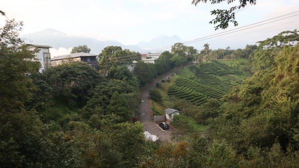 貓囒山登山健行趣(小百岳49號)2268437