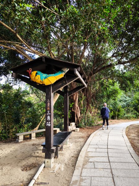 2025-12-14 大肚萬里長城步道、環保公園步道、旗開得勝步道2968964