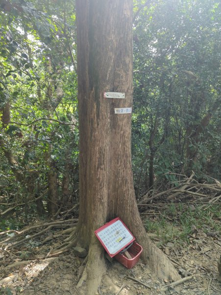 2024.12.21－旗尾山步道2677417