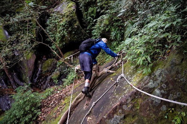 新竹石牛山步道｜小百岳2756518