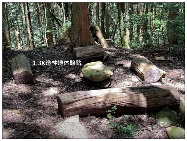 屋我尾山 北登山口 (大雪山林道31.3K)2985530