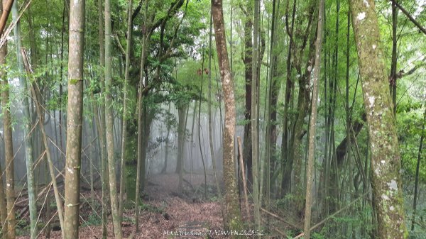《雲林》望好望角｜石壁山嘉南雲峰步道(中側登山口）202506072805397