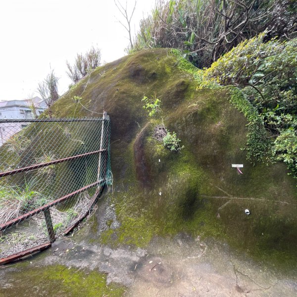 20250229_台北天際線第十段（中和-土城）2855551