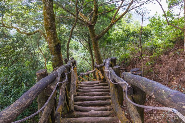 [台中]頭嵙山3130606
