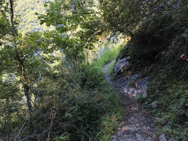 [玉山尋寶任務-07/12] 2025_0824 八通關雲龍瀑布步道2870601