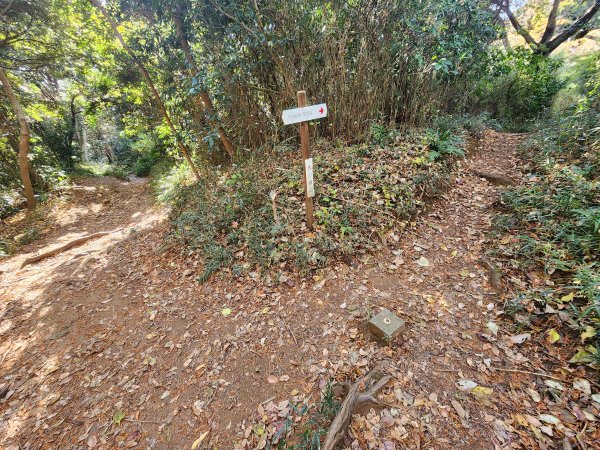 20251128橫須賀軍港遊船+鎌倉大佛步道2962734