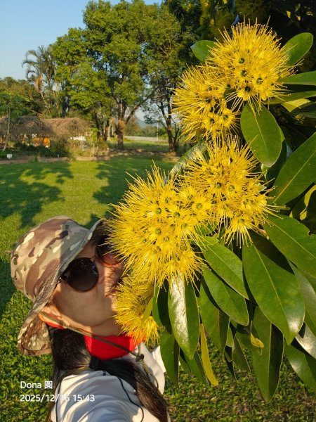 20251216太平山石門山小粗坑山O型+蕃薯藤TINA廚房2972661