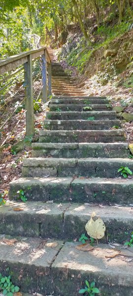 甕缸潭步道~塘湖古道~獨力山步道O形環狀995973