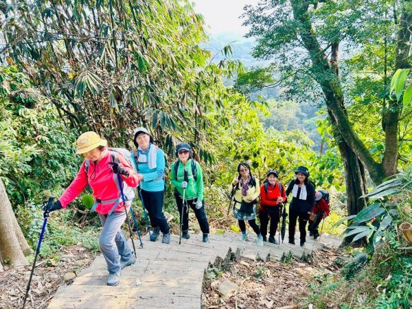 荷苞山登山步道走荷芭山小溪子山 午餐吃塔可飯幸福耶2996067