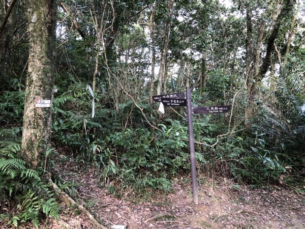 台灣小百岳No.011姜子寮山908423