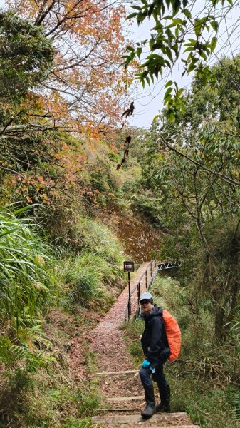 神阿縱走~台灣難抵極~大塔山2971505