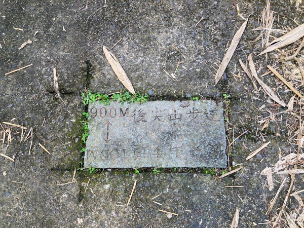 後尖山步道2683552