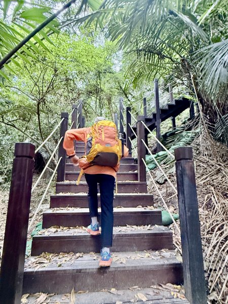 雪山坑步道悠遊順訪雪山坑山(再訪)  2025.12.32953734