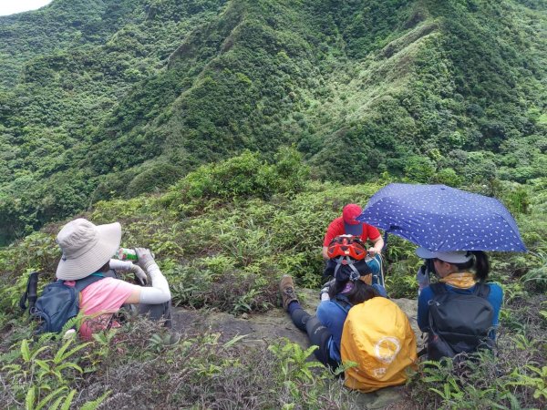 瑞芳半平山大峭壁鋸齒稜劍龍稜O型1675842