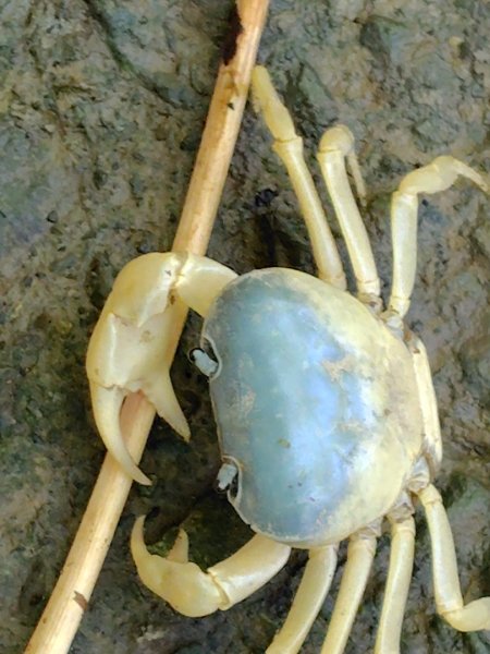 西阿里關山2823113