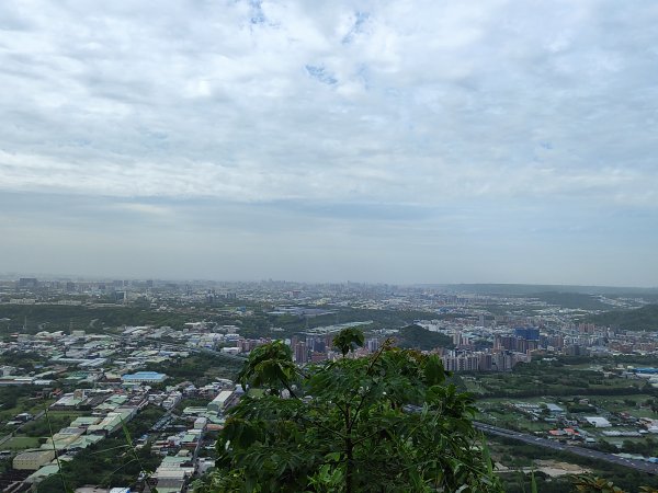 鳶山登山步道2760131