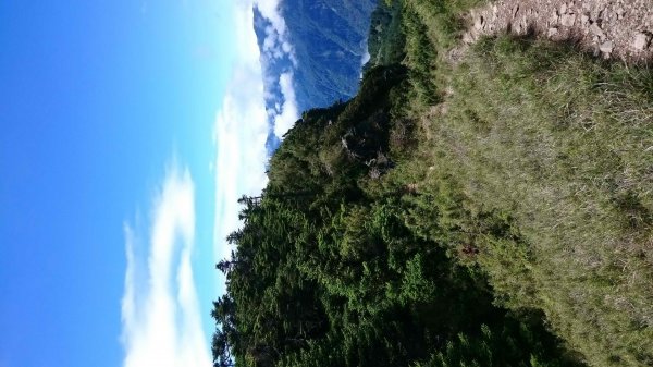 2017-07-03畢祿山439365