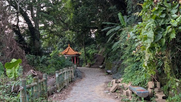 飛鳳山步道3118554