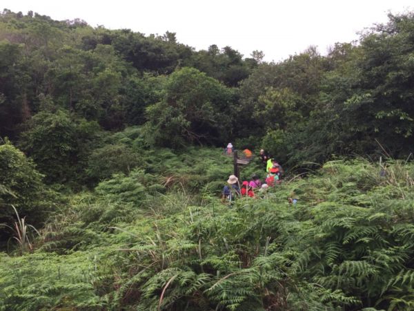 萬里長堤-古道之行（鹿堀坪大草原）405056