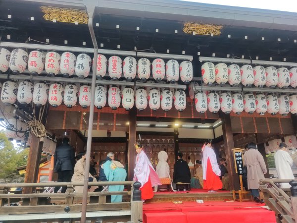 京都清水寺2453617