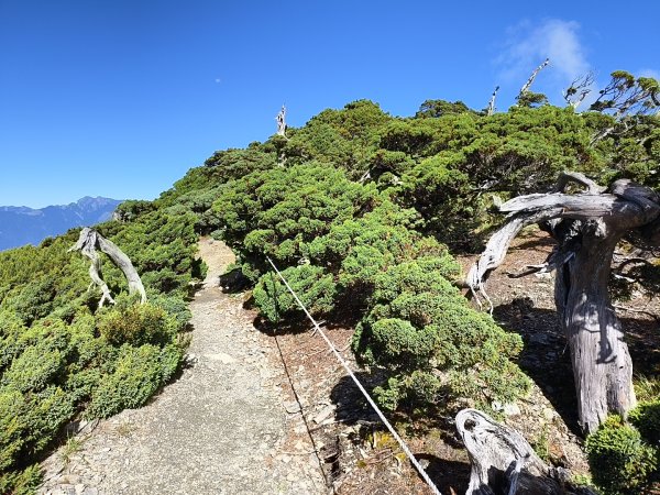 北一段(11/14)南湖北峰 2025_0906~132887298