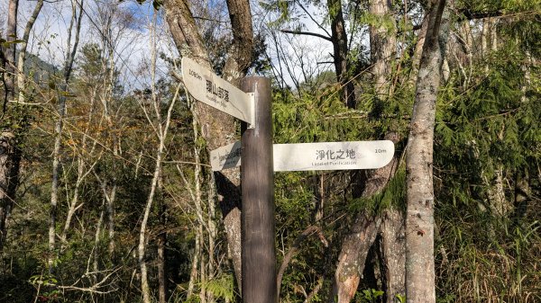 環山獵人登山步道3021035