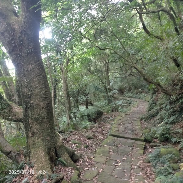 绢絲瀑布步道2840514