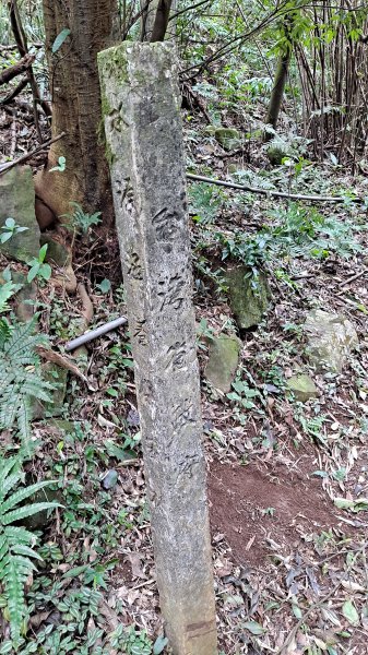 台北大縱走第一段1249188