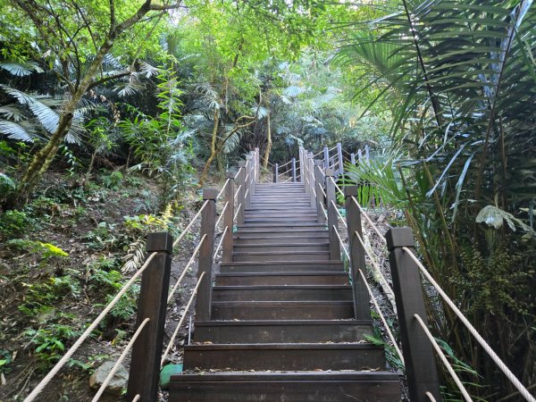 雪山坑登山步道~巨人之手2948717