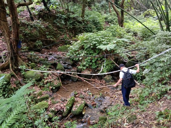 雙溪區威惠廟+下坑山+570峰+大埤格+崩山坑古道O型2814823