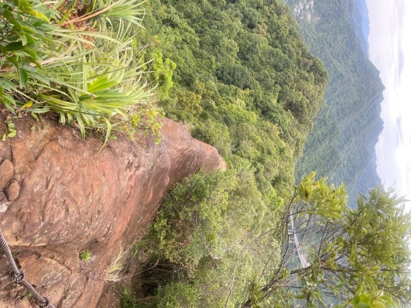 微笑山⛰️線-大棟-二格山-五分山-天上山-鳶山💎12條步道完成💙2834184