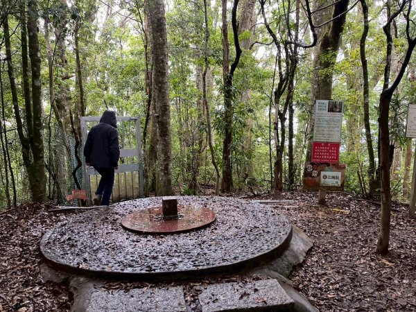 新竹 五峰 雪霸休閒農場 野馬瞰山步道2811502