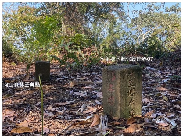 向山、向山遊客中心2747263