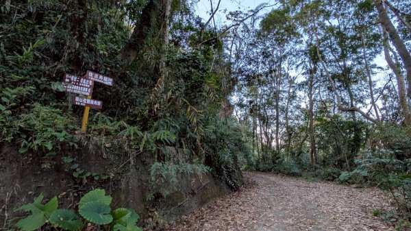 大橫屏山步道2977362