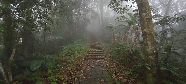 2025/11/02_大崎棟古道+騎龍古道+逃學步道2929056