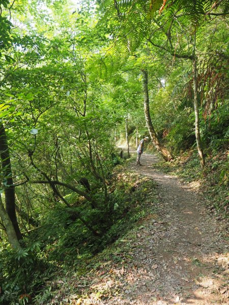 《宜蘭》小太魯閣｜礁溪林美石磐步道201805172889155