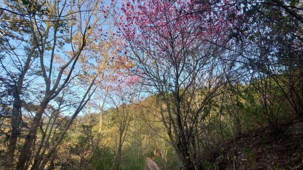 守城大山路徑探索1260122