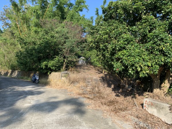 20251115台南南庄山2938061