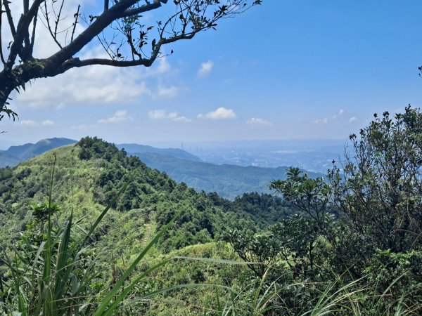 20230911淡蘭古道中段：五分山步道-暖東舊道2446793