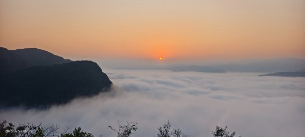 #翡翠水庫壩頂 #日出 #雲海 #藍腹鷴 2/22 #年初六3004062