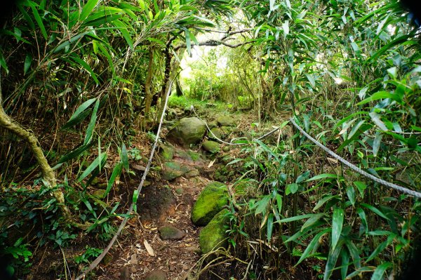 新北 三芝 小觀音山群峰3085471
