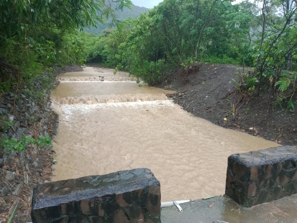 步道巡訪員 l 浸水營前段步道8月巡訪日誌1081957