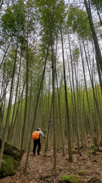 桃園復興金牌縱走2763279