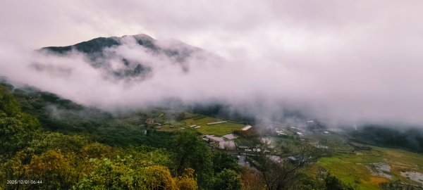 #陽明山 趴趴走12/12950346